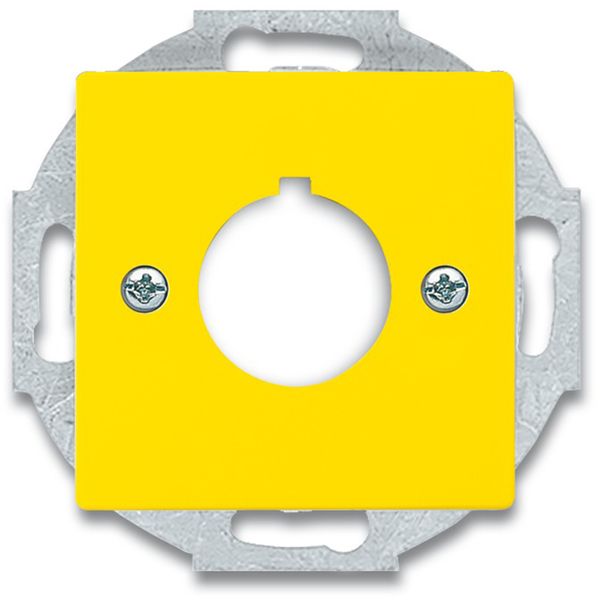 2533-82-15 CoverPlates (partly incl. Insert) future®, Busch-axcent®, solo®; carat®; Busch-dynasty® yellow image 1