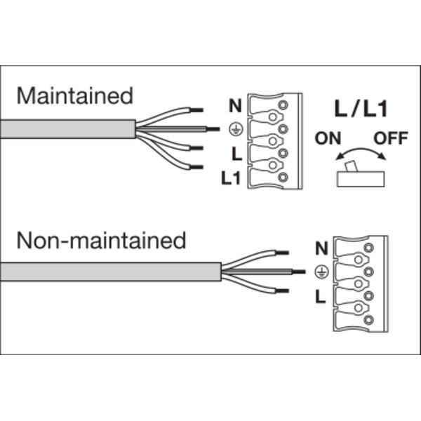 SURFACE BULKHEAD 300 SENSOR EMERGENCY 15W 830 BK IP65 image 18