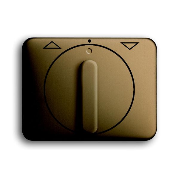 1740 DR-21 CoverPlates (partly incl. Insert) carat® bronze image 1