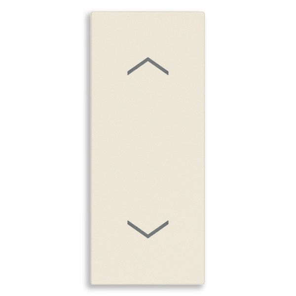 2P 10A 2-way push button canvas image 1