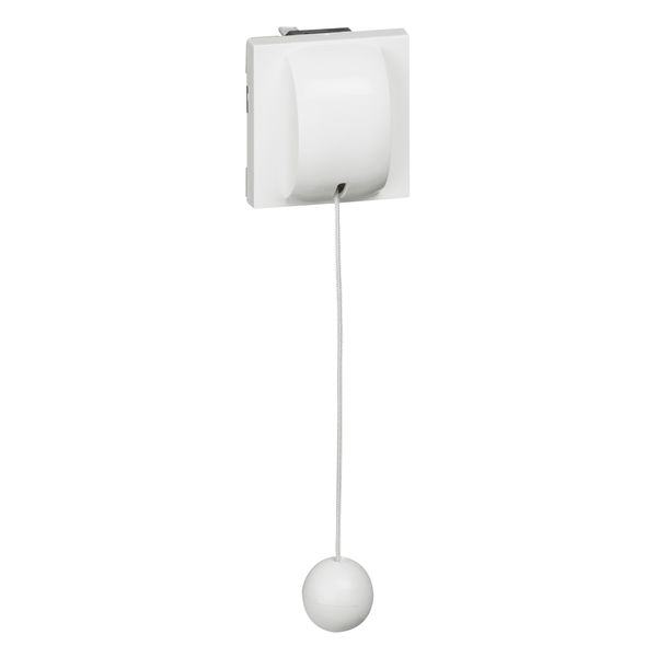 2-way pull-cord push-button Mosaic - with cord - 6A - 2 modules - white image 2