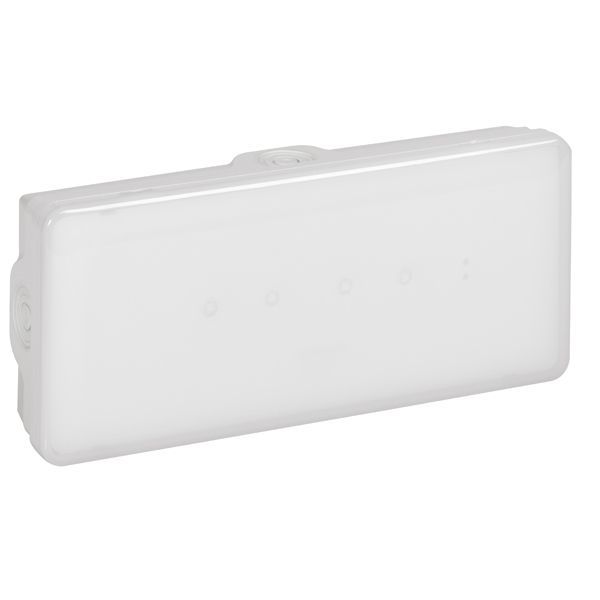 Emergency luminaire B65 - autotest/address maint./non maint. - 350 lm - 1h - LED image 1