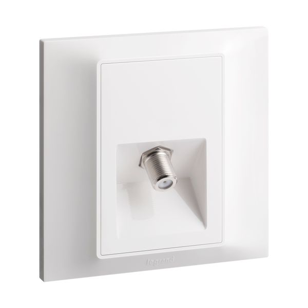 Socket TV Single -F- Type 7X7 White, Legrand-Belanko S image 1