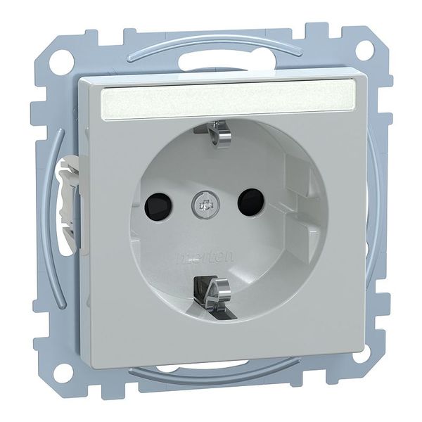 SCHUKO socket for special circuits with label, touch protection, plug-in terminals, light gray, System M image 1