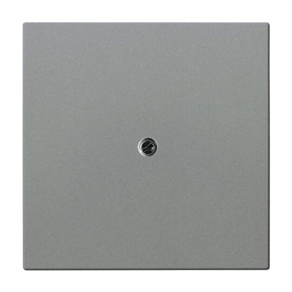 1745-803 CoverPlates (partly incl. Insert) Busch-axcent®, solo® grey metallic image 3