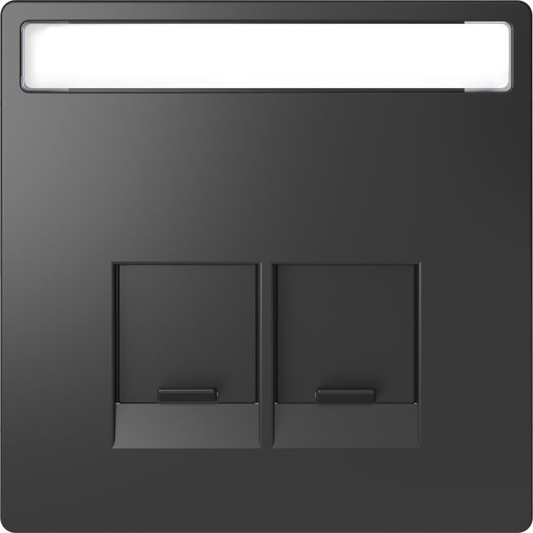 Cen.pl. 2-gng w. labeling field f. Schneider Electric RJ45-Connctr.anthr.Sys.Des image 1