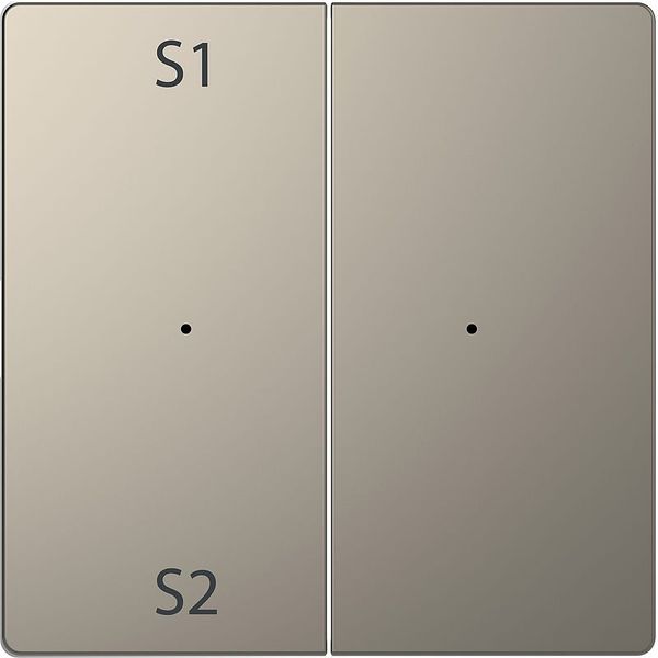 Rockers for button module 2-fold (Scene 1/2, blank), nickel metallic, system design image 1