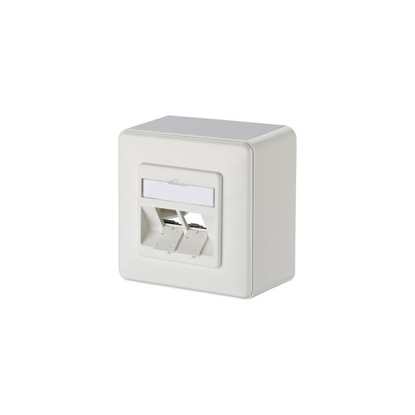 Modul wall outlet surface mounted 2 port unequipped pure white 43 mm image 1