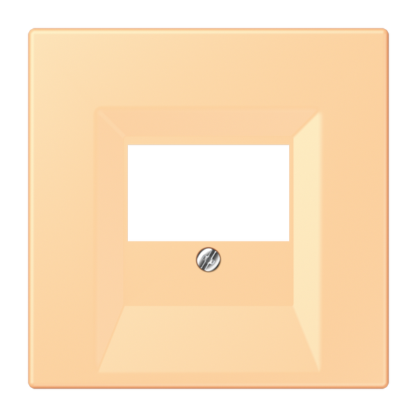 Centre plate for TAE-socket LC4320P LC969T258 image 1