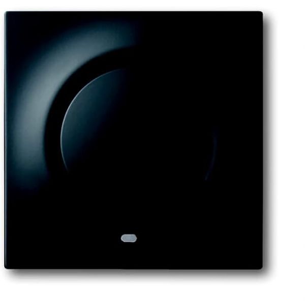 1789-775-101 CoverPlates (partly incl. Insert) carat® black matt image 1