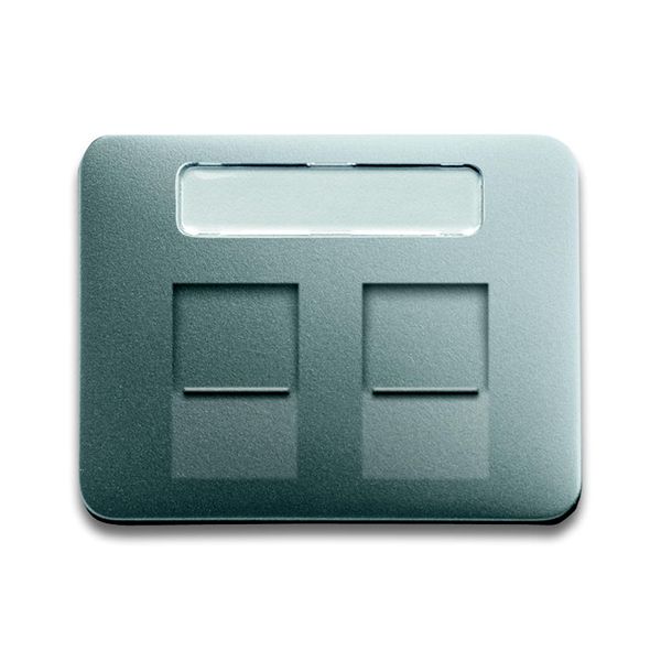 1800-266 CoverPlates (partly incl. Insert) carat® titanium image 1