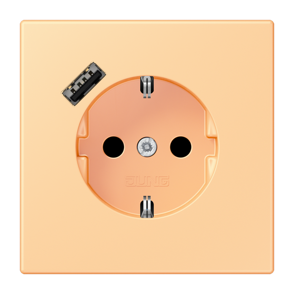 SCHUKO socket with USB charger LC4320P LC1520-18A258 image 1