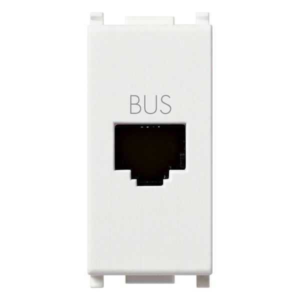 BUS RJ11phone jack white image 1