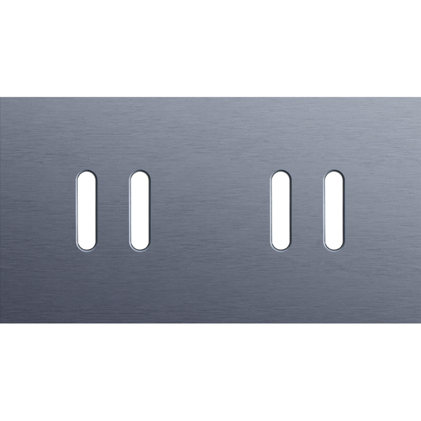 Twofold faceplate, horizontal 71 mm centre distance, for double switch image 2