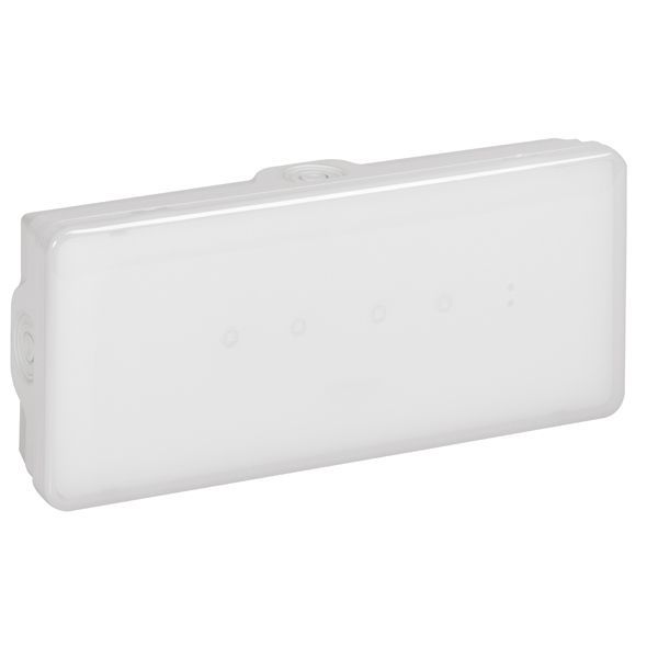 Emergency luminaire B65 - autotest/address maint./non maint. - 100 lm - 1h - LED image 1