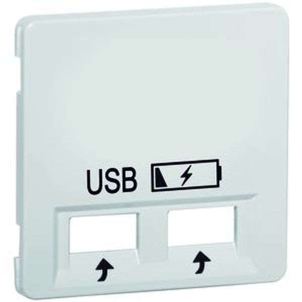 centraalplaat USB charger,levend wit image 1