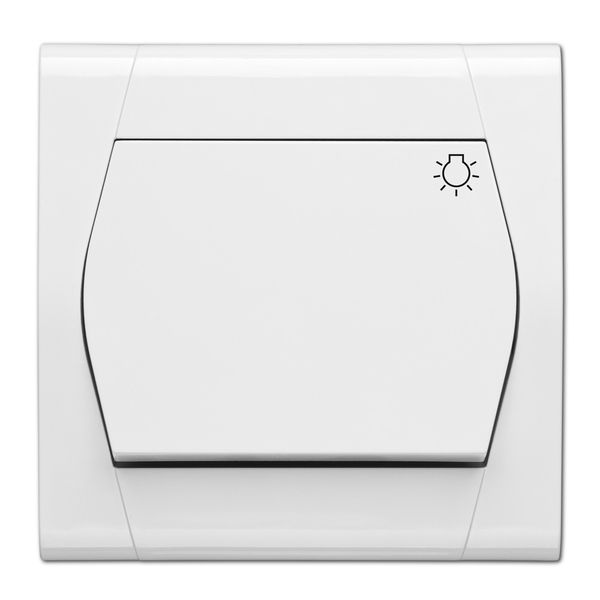 FESTA PUSH "LIGHT" SWITCH image 1