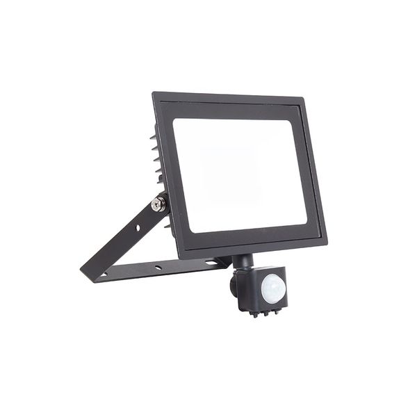 Eden Floodlight 50W PIR Cool White image 1