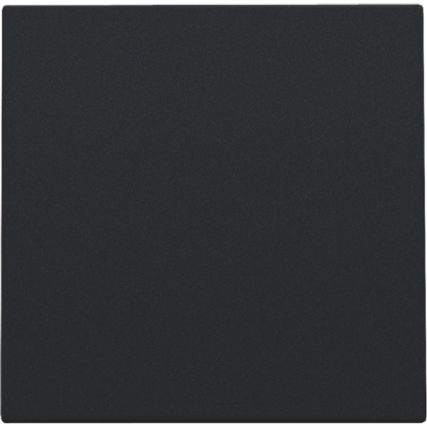 Splashproof blind plate, black coated image 1