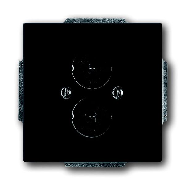 1751-81 CoverPlates (partly incl. Insert) future®, Busch-axcent®, carat®; Busch-dynasty® Anthracite image 1