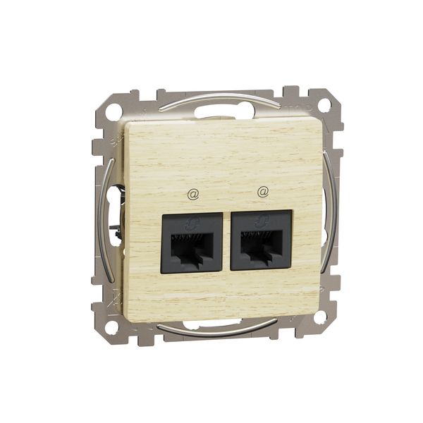 Double DATA Outlet CAT 6 UTP, Sedna Design & Elements, RJ45, Wood brich image 4