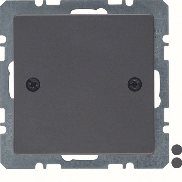 Blind plug centre plate, screw-on, Q.1/Q.3, ant. velvety, lacq. image 2