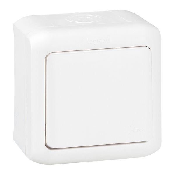 Two-way switch Forix - surface mounting - 10 AX - 250 V~ - white image 1