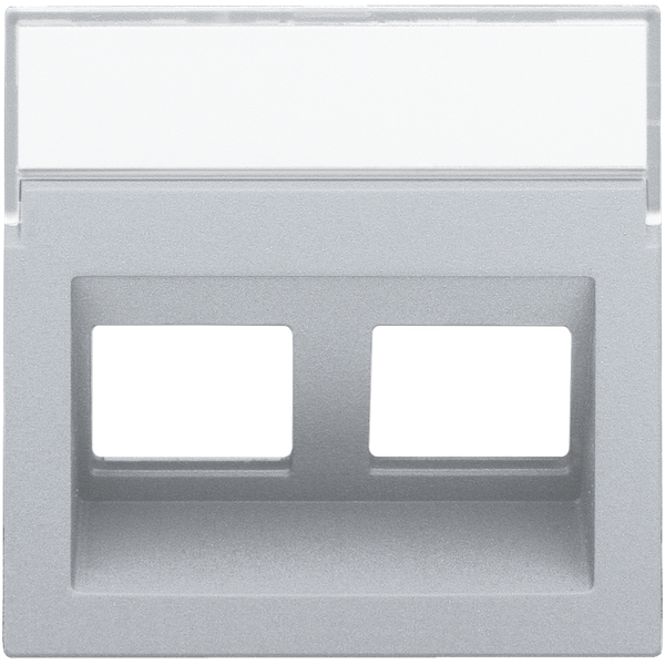 Central plate data 2x RJ oblique output, sterling coated image 2