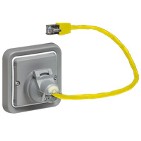 Adaptor for RJ 45 socket Plexo - cat. 6 - IP 55 - IK 07 - grey/white image 2