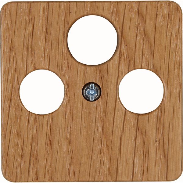 Antenna cover plate for antenna socket T image 1