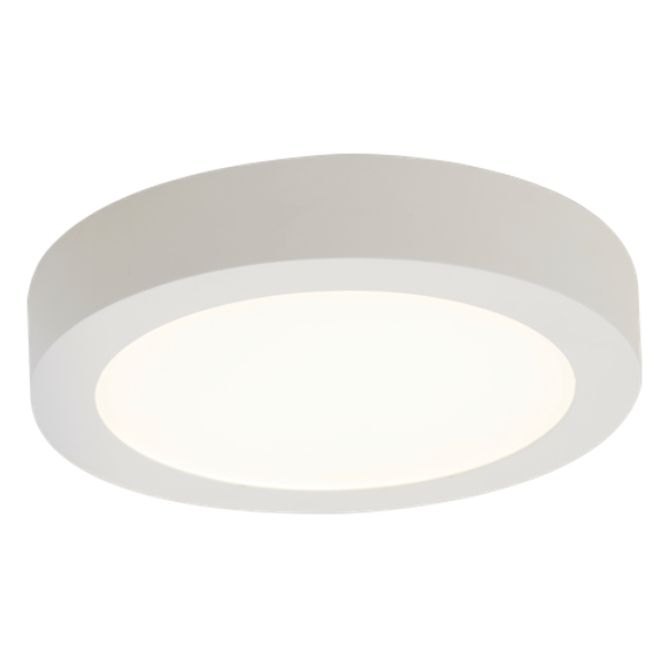 Freska Surface Downlight Cool White image 3