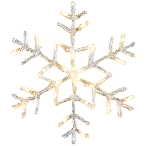 Snowflake Antarctica image 2