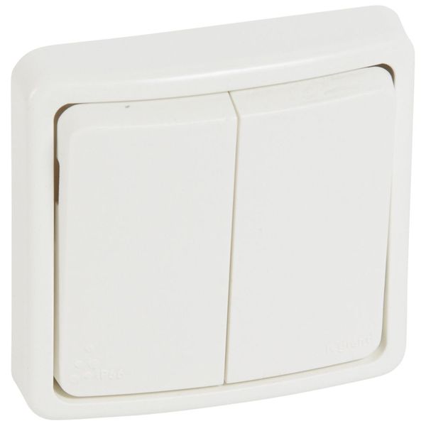 Switch Plexo 66 - 2 gang - 2 way - 20 A - 250 V~ - flush mounting image 1