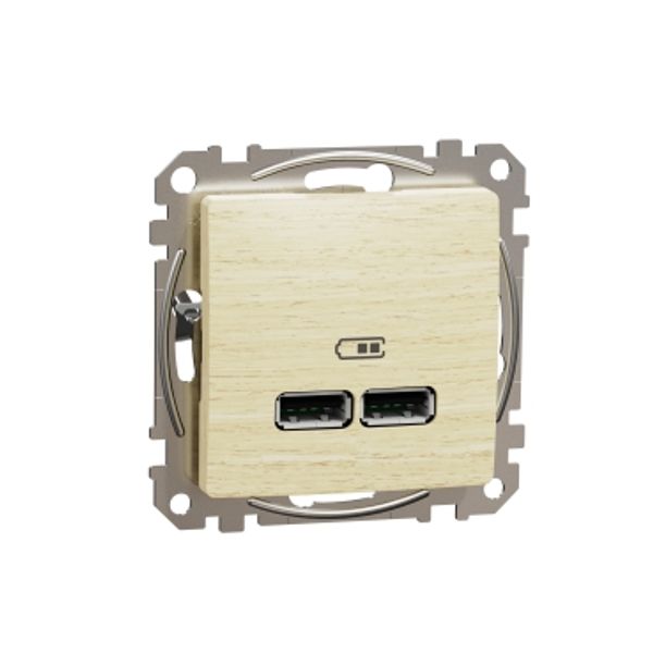 Sedna Design & Elements, USB charger A+A, 2,1, wood birch image 3