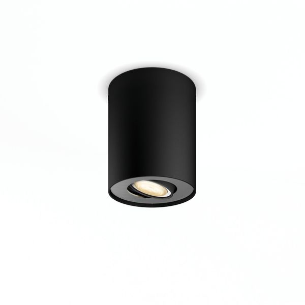 Pillar Hue ext. spot single spot black 1 image 1