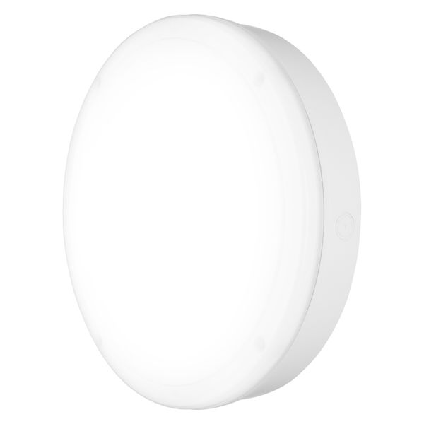 SURFACE BULKHEAD 300 EMERGENCY 15W 830 WT IP65 image 9