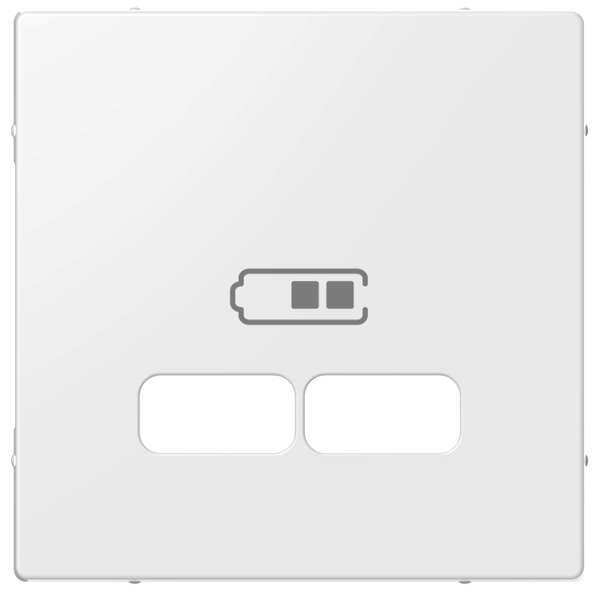 System M central plate USB charger polarwhite image 5