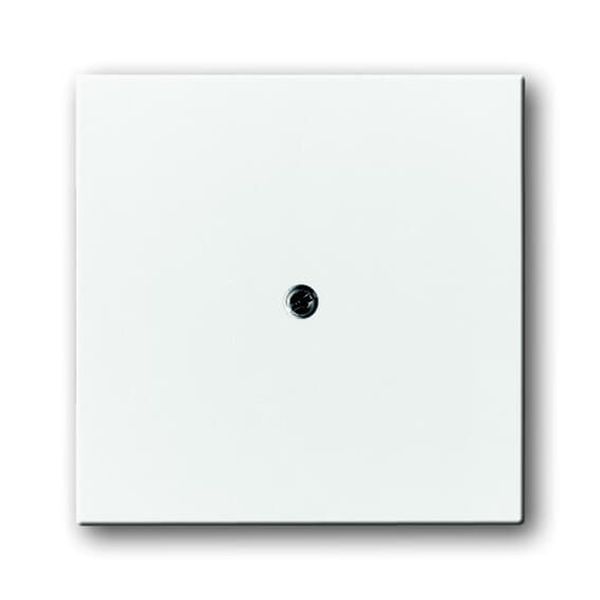 1745-84 CoverPlates (partly incl. Insert) future®, Busch-axcent®, solo®; carat® Studio white image 2