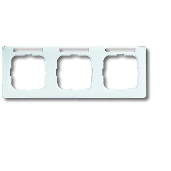 1733 NSKA-214 Cover Frame SI/Reflex SI Alpine white image 1