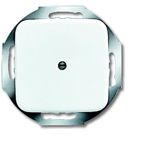 2527-214 CoverPlates (partly incl. Insert) carat® Alpine white image 1