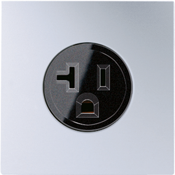 US Nema socket AL2521-20 image 2