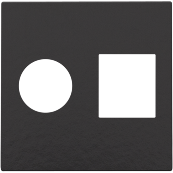 Finishing set for single coaxial connection and network connection RJ4 image 1