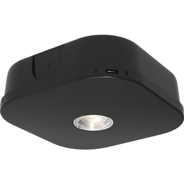 Falcon Pro DALI Surface Mounted Downlight Black image 1