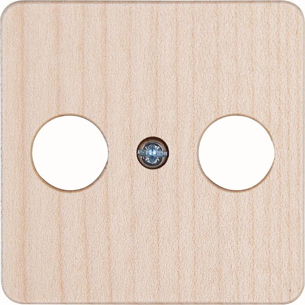 Antenna cover plate for antenna socket T image 1