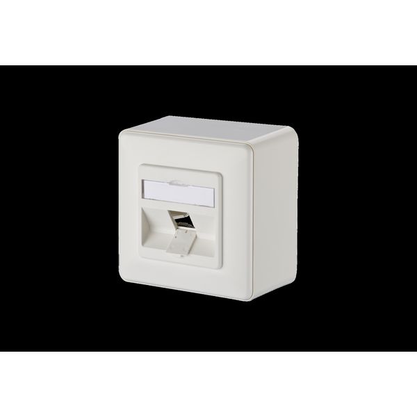 Modul wall outlet surface mounted 1 port unequipped pure white 43 mm image 2