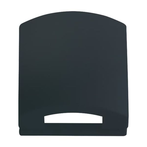 1746-81 CoverPlates (partly incl. Insert) future®, Busch-axcent®, carat®; Busch-dynasty® Anthracite image 2