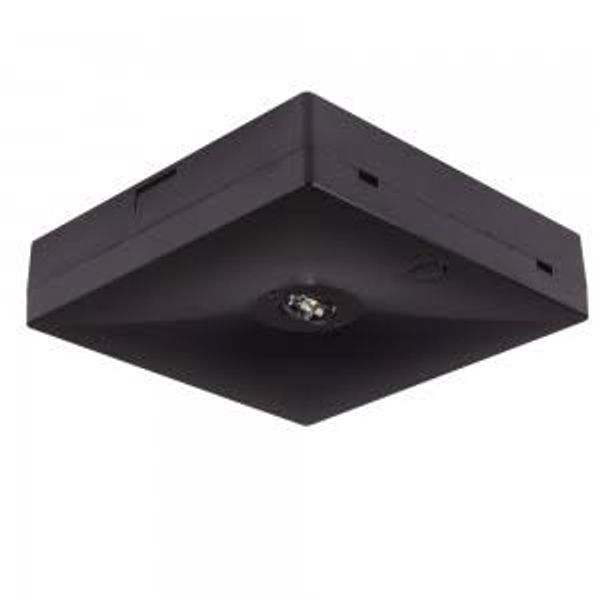 Starlet QUAD LED SCH 350 CB [BLK] image 1