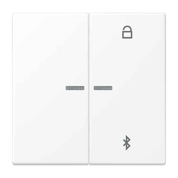 LB Management room thermostat display LS1790DSW image 1