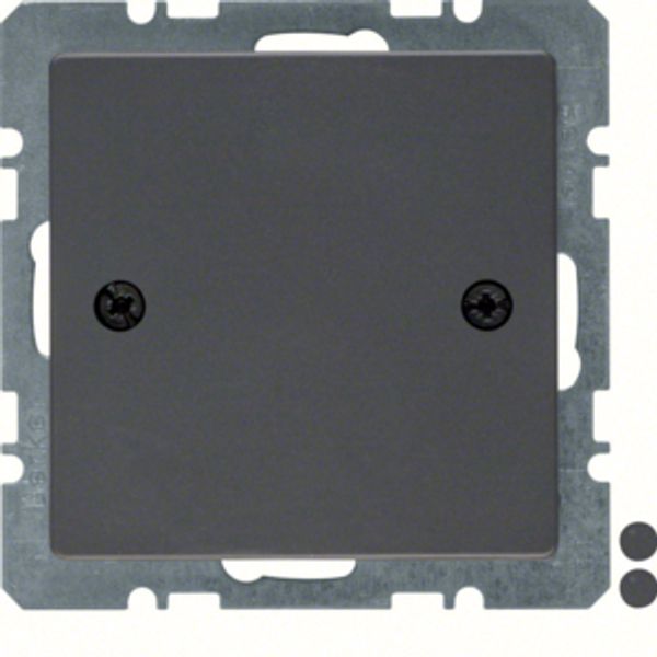 Blind plug centre plate, screw-on, Q.1/Q.3, ant. velvety, lacq. image 3