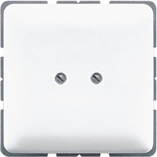 Blank Plate,White Alp CD561BWW image 2